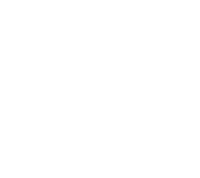 BAS Part Sales
